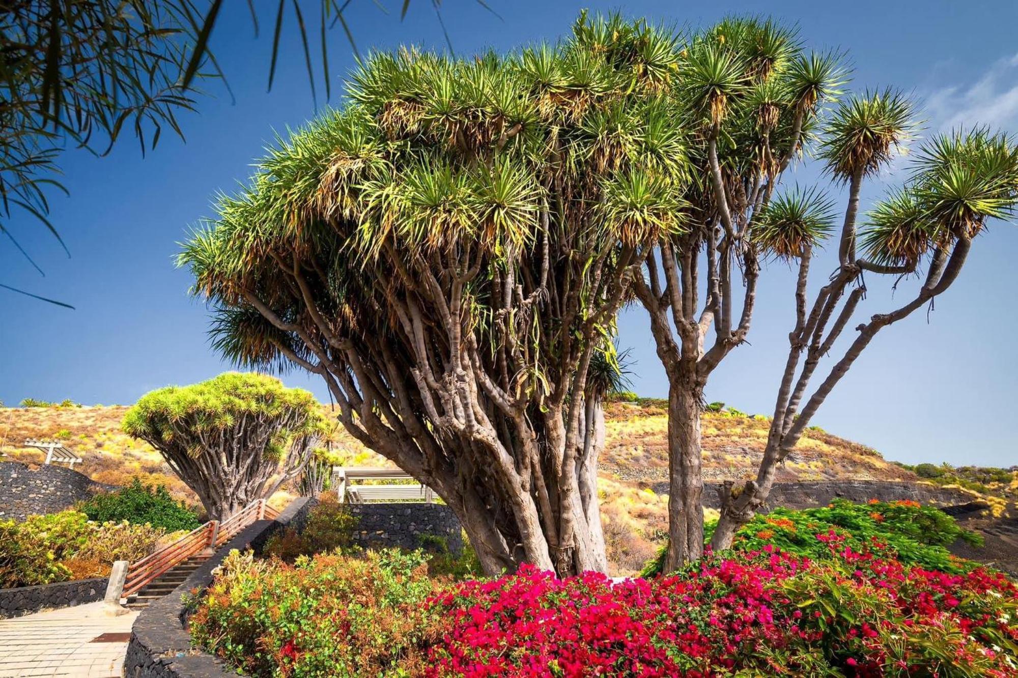 Casa Lucia Villa Breña Baja Buitenkant foto